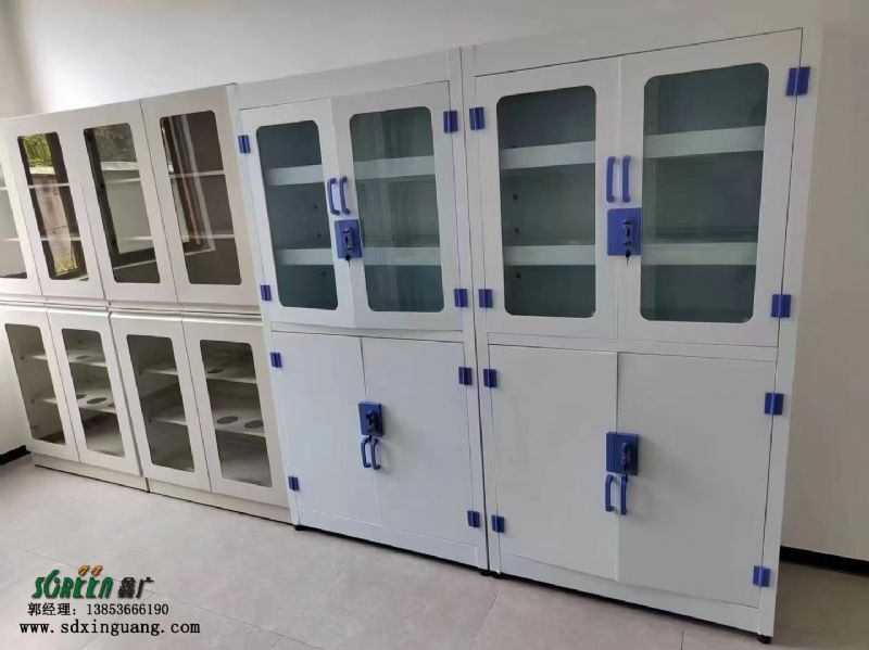 山東全鋼實(shí)驗臺PP藥品柜全鋼器皿柜酸堿柜