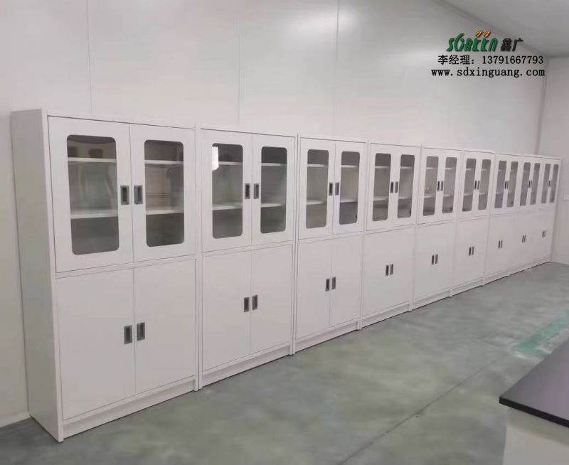山東實(shí)驗臺廠家全鋼試劑柜實(shí)驗室器皿柜